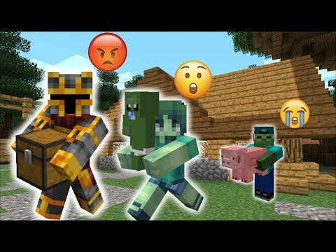 Mc Naveed Minecraft Video