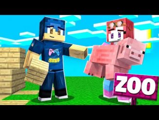 Zoo Archives Minecraft Videos